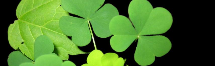 ���������� � ���������� - ������� ��������